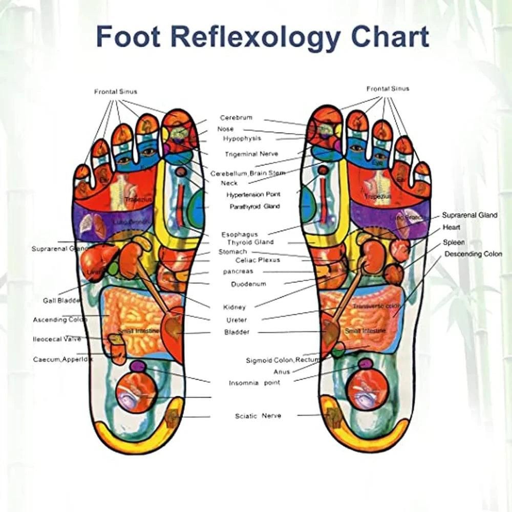 Natural Detox Foot Pads β Removes Toxins Overnight | Better Sleep & More Energy | Pack of 20